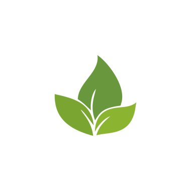 yeşil yaprak simgesi beyaz arkaplan