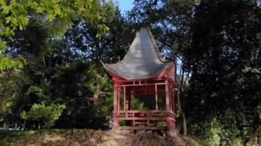 Ormanda doğuya özgü bir uçuş.