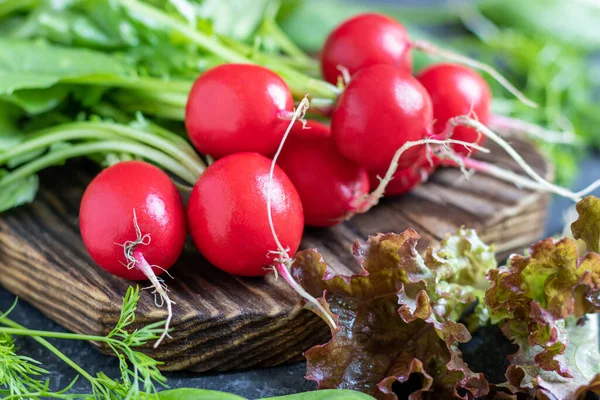 Biolebensmittel Frühlingssalat lizenzfreie Stockfotos