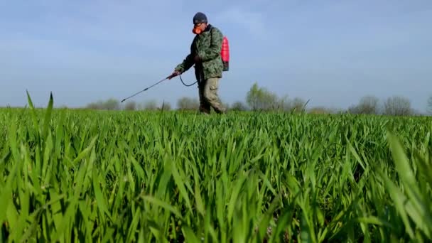 Agricoltore Spruzza Erbicidi Sul Campo Uomo Che Lavora Nel Campo — Video Stock