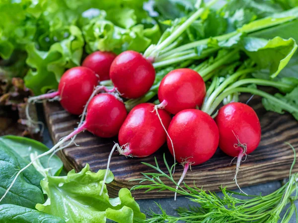 Sebze, turp, salata, ıspanak ve dereotlu. Çiğ vegan tarifleri için konsept resim.