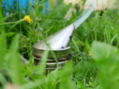 Arı kovanında yazın çekilmiş fotoğrafları.