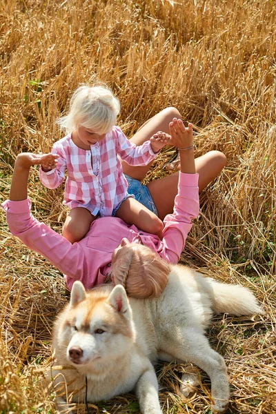 Schattig meisje met mama en hond op het tarweveld. Gelukkig jong gezin genieten van de tijd samen in de natuur. Mam, kleine baby meisje en hond husky rusten buiten. saamhorigheid, liefde, geluk concept. — Stockfoto