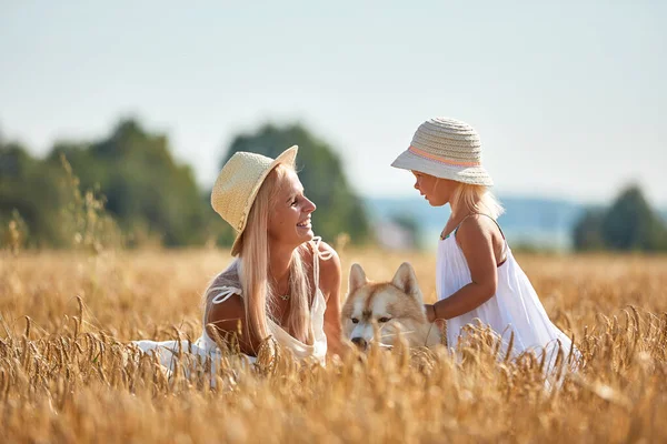 Cute baby girl with mom and dog on wheat field. Happy young family enjoy time together at the nature. Mom, little baby girl and dog husky resting outdoors. togetherness, love, happiness concept.