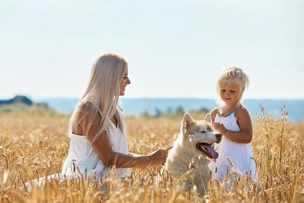 Linda niña con mamá y perro en el campo de trigo. Feliz familia joven disfrutar de tiempo juntos en la naturaleza. Mamá, pequeña niña y perro husky descansando al aire libre. unión, amor, concepto de felicidad. — Foto de Stock