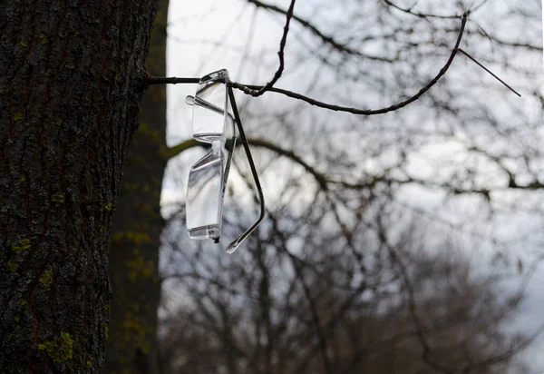 木の枝には眼鏡がかかっている 背景がぼやけている木の上に眼鏡を失った 柔らかいボケだ 公園の冬の夜 — ストック写真