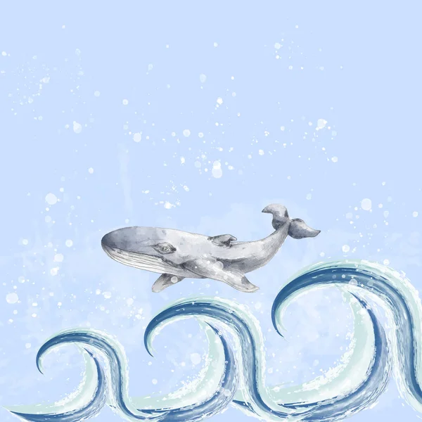 Синий Кит Волнах Морское Животное Ручной Рисунок Акварель Графит Элемент — стоковое фото