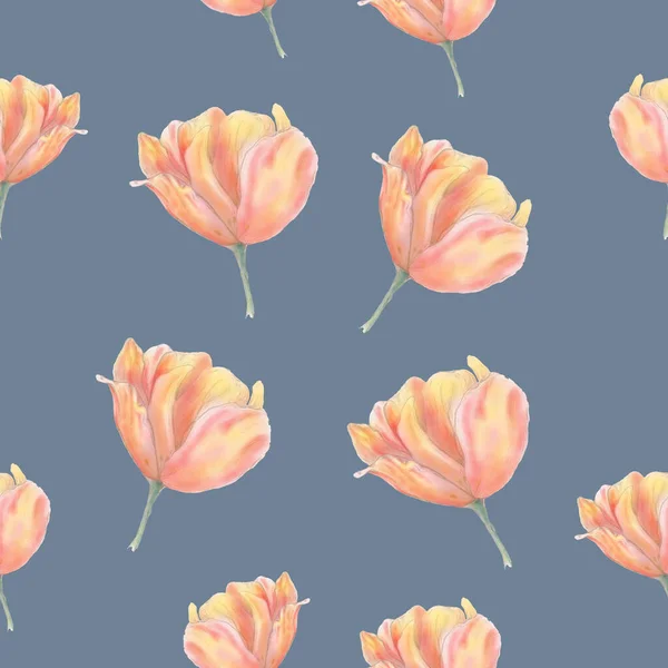 Тюльпановый Узор Заднем Плане Розовые Тюльпаны — стоковое фото