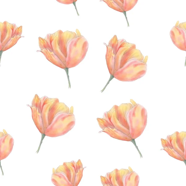 Tulp Naadloos Patroon Een Witte Achtergrond Handtekening Aquareltulp Roze Bloemenpatroon — Stockfoto