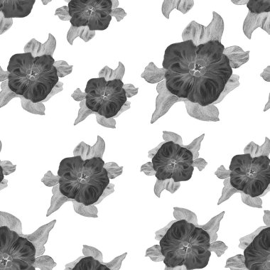 Kusursuz desen. Beyaz arka planda çiçekler. Grafik çizimi. Paketleme veya tekstil tasarımı.