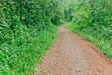 Veranopolis trekking