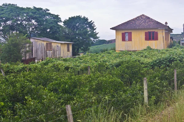 Сельский дом в Веранополисе — стоковое фото