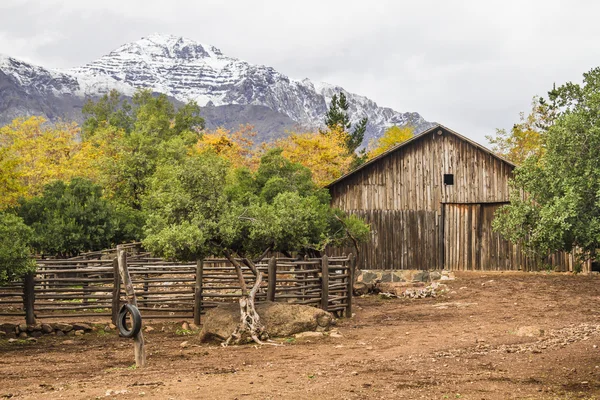 San Alfonso Vadisi, Şili grupta