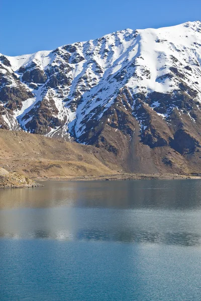 Imbalsamare el yeso — Foto Stock