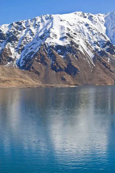 Imbalsamare el yeso — Foto Stock