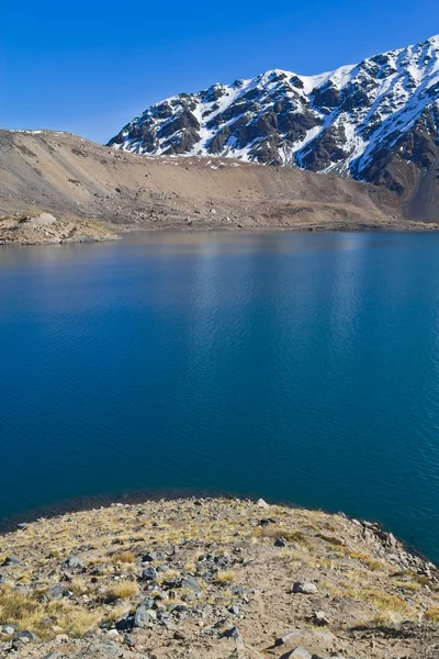 Imbalsamare el yeso — Foto Stock