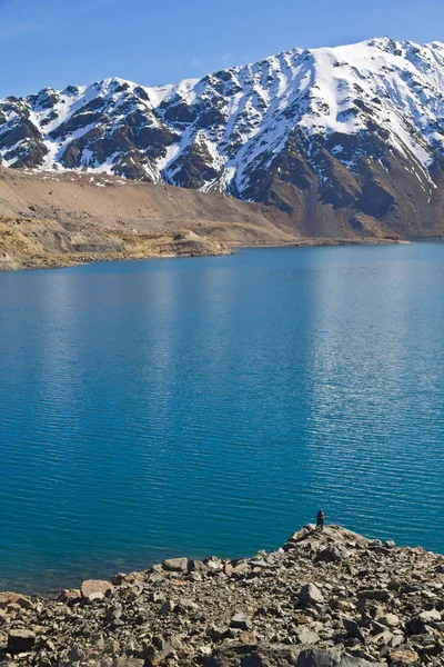 Imbalsamare el yeso — Foto Stock