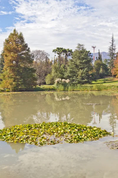 Lago no jardim em santiago chile — Fotografia de Stock