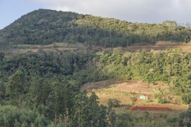 Ilumated dağın grupta