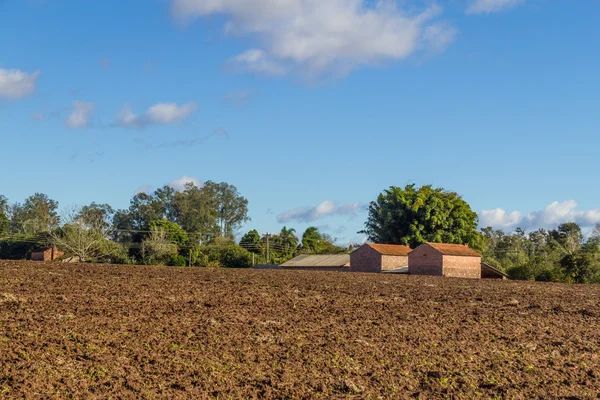 Tabakanbau und Felder — Stockfoto