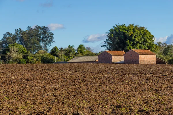 Табачная ферма и поля — стоковое фото