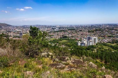 Morro Santana, Rio Grande do Sul, Brezilya 'dan Bitki ve Porto Alegre şehir manzarası