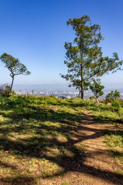 Morro Santana, Rio Grande do Sul, Brezilya 'dan Bitki ve Porto Alegre şehir manzarası