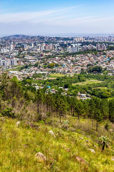 Vegetación Vista Ciudad Porto Alegre Desde Morro Santana Rio Grande — Foto de Stock