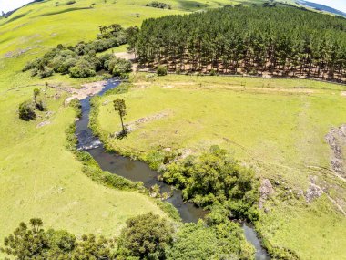 Çiftlik arazisi, Sao Francisco de Paula, Rio Grande do Sul, Brezilya 'da şelaleli orman ve dere manzarası