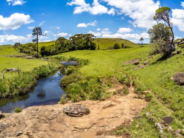 Sao Francisco de Paula, Rio Grande do Sul, Brezilya 'da tarla, ağaç ve şelale