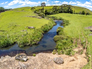 Sao Francisco de Paula, Rio Grande do Sul, Brezilya 'da tarla, ağaç ve şelale