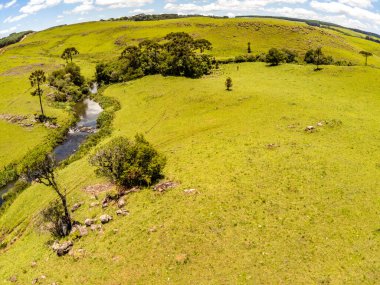 Çiftlik arazisi, Sao Francisco de Paula, Rio Grande do Sul, Brezilya 'da şelaleli orman ve dere manzarası