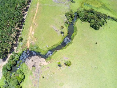 Çiftlik arazisi, Sao Francisco de Paula, Rio Grande do Sul, Brezilya 'da şelaleli orman ve dere manzarası