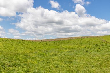 Sao Francisco de Paula 'daki çiftlik arazisi, Rio Grande do Sul, Brezilya