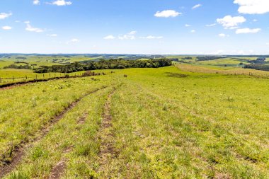 Sao Francisco de Paula, Rio Grande do Sul, Brezilya 'daki Araucaria ormanları ile tarla