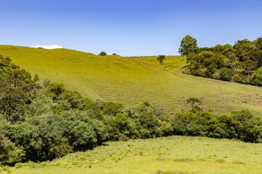 Sao Francisco de Paula, Rio Grande do Sul, Brezilya 'daki Araucaria ormanları ile tarla