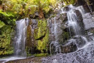 Şelale ve orman Sao Francisco de Paula, Rio Grande do Sul, Brezilya