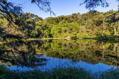 Sao Francisco de Paula, Rio Grande do Sul, Brezilya 'da güneş doğarken yansıyan göl ve orman.