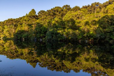 Sao Francisco de Paula, Rio Grande do Sul, Brezilya 'da güneş doğarken yansıyan göl ve orman.