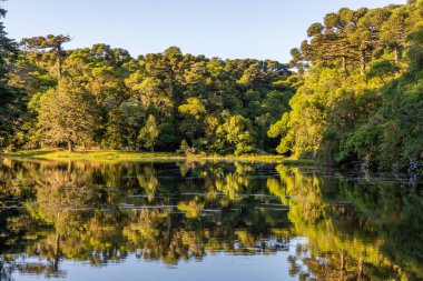 Sao Francisco de Paula, Rio Grande do Sul, Brezilya 'da güneş doğarken yansıyan göl ve orman.