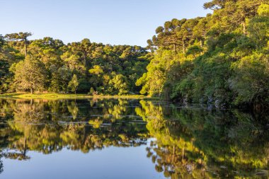Sao Francisco de Paula, Rio Grande do Sul, Brezilya 'da güneş doğarken yansıyan göl ve orman.