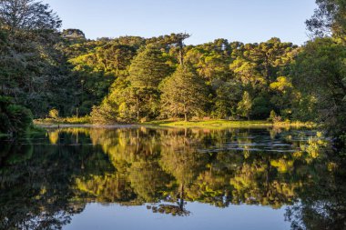 Sao Francisco de Paula, Rio Grande do Sul, Brezilya 'da güneş doğarken yansıyan göl ve orman.