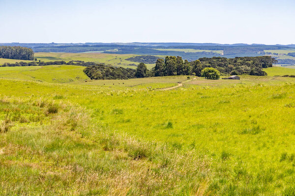 Dirty road and Farm field in Sao Francisco de Paula, Rio Grande do Sul, Brazil