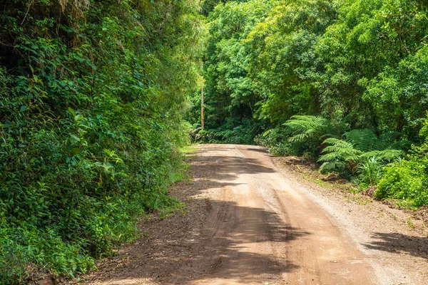 Dirty Road Forest Morro Xaxim Mountain Igrejinha Rio Grande Sul — Stock Photo, Image