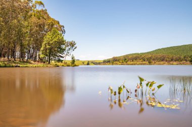Divisa barajındaki göl ve orman, Sao Francisco de Paula, Rio Grande do Sul, Brezilya