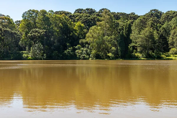 巴西南里约格朗德岛Canela湖和森林 — 图库照片