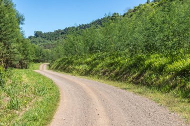 Kirli yol, orman ve çiftlik arazileri, Linha nova köyü, Rio Grande do Sul, Brezilya