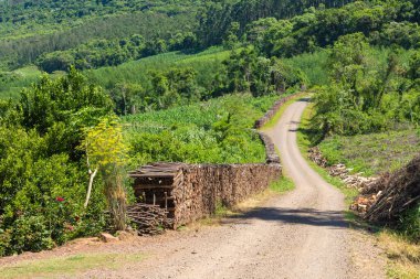 Kirli yol, orman ve çiftlik arazileri, Linha nova köyü, Rio Grande do Sul, Brezilya