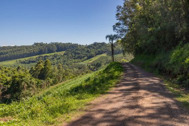 Kirli yol, orman ve çiftlik arazileri, Linha nova köyü, Rio Grande do Sul, Brezilya