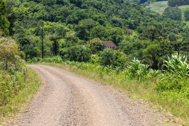 Kirli yol, orman ve çiftlik arazileri, Linha nova köyü, Rio Grande do Sul, Brezilya